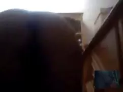 免费丰满的大学生从热摩洛伊斯兰解放阵线