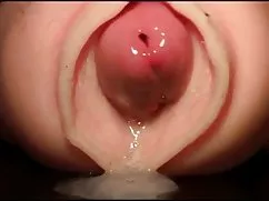 怎么老是一个成熟的骆驼与爸爸和小女儿的性爱