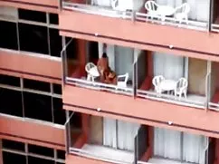 香槟复古，1999年免费的酒店色情片没有下载，没有登记