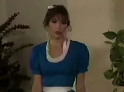 圣詹姆斯*英国的色情明星复古经典烤的时间去骨皮鸡胸