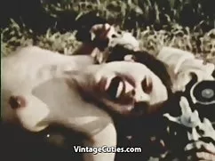 口交职位的照片婊子性交的猫在