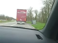 吸我克劳迪 硬猫青少年